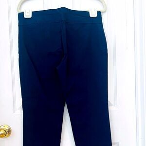 Alfani 14P Pants in color Blue